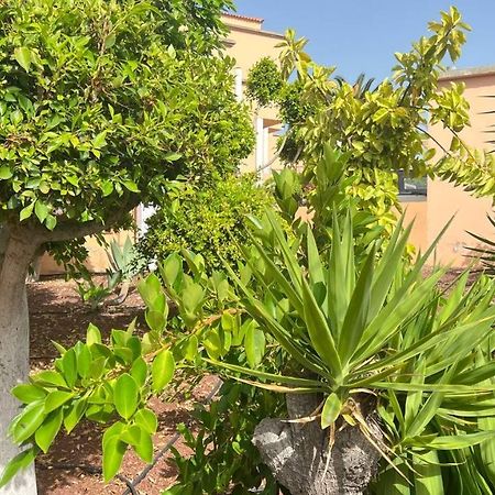 Ocean View Apartment In Orlando Costa Adeje  Luaran gambar