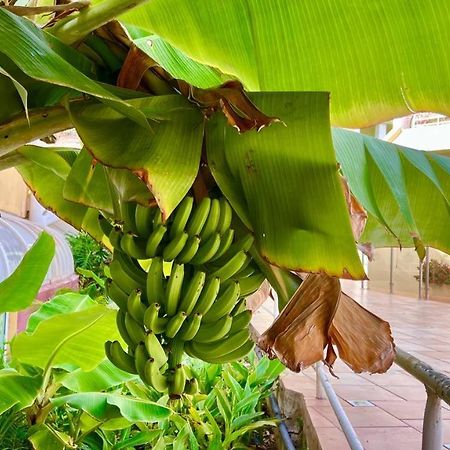 Ocean View Apartment In Orlando Costa Adeje  Luaran gambar