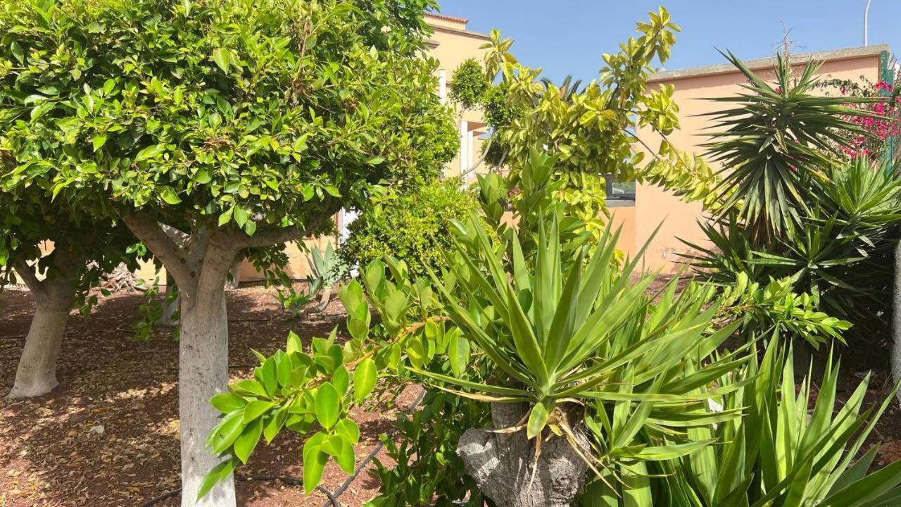Ocean View Apartment In Orlando Costa Adeje  Luaran gambar