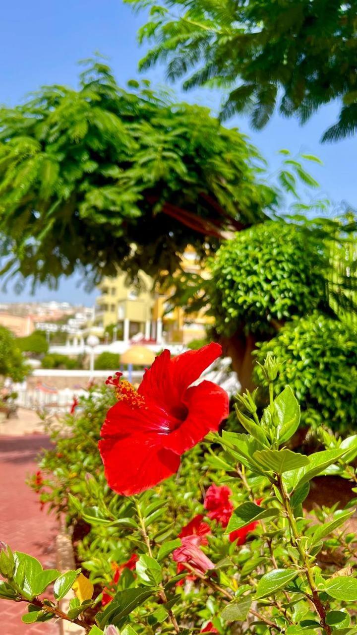 Ocean View Apartment In Orlando Costa Adeje  Luaran gambar